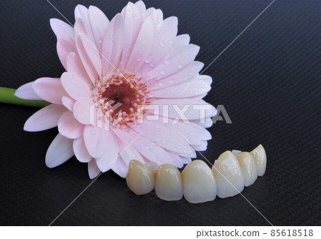 花——潔牙 花——潔牙 85618518