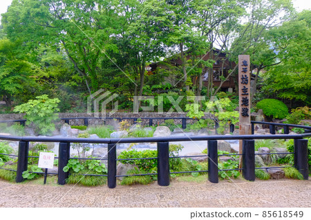 別府溫泉方頭地獄 85618549