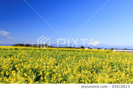 Soleil Hill Soleil Hill 85618623