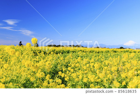 Soleil Hill Soleil Hill 85618635