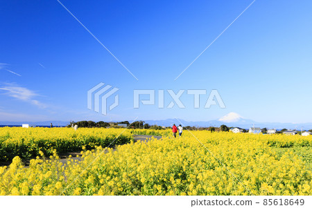 Soleil Hill Soleil Hill 85618649