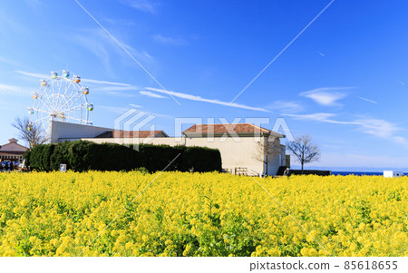 Soleil Hill 85618655