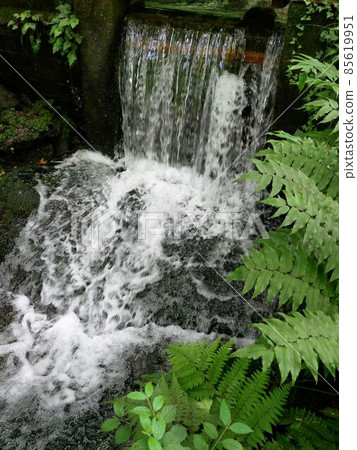 Water flowing from the spring pond of Yamabuki Springhead (Ubuyama Village, Kumamoto Prefecture) 85619951
