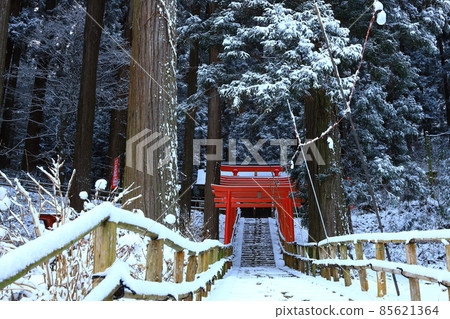 世界遺產冬天平泉Chusonji 世界遺產冬天平泉Chusonji 85621364