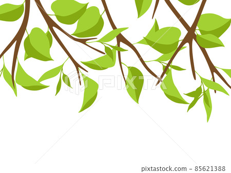 Background with branches and green leaves. Spring or summer twigs. Background with branches and green leaves. Spring or summer twigs. 85621388