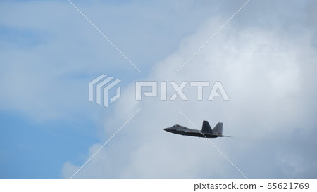 Raptor taking off 85621769