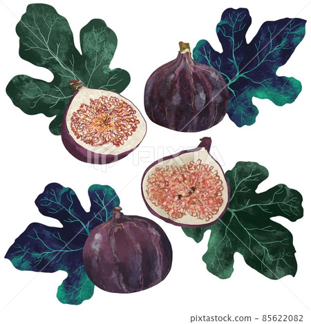 Ripe Tasty figs and halves with green leaf isolated on white background. Healthy mediterranean fig fruit. 85622082