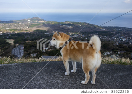 Mamesiba 俯瞰大海和高原 85622226