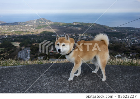 Mamesiba 在山頂上散步,俯瞰大海和高原 Mamesiba 在山頂上散步,俯瞰大海和高原 85622227