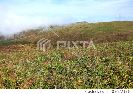 Kirigamine Plateau of Autumn 85622356