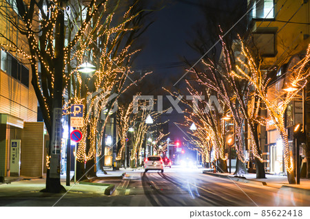 Cityscape of Keyaki-dori in Niigata City in winter Cityscape of Keyaki-dori in Niigata City in winter 85622418