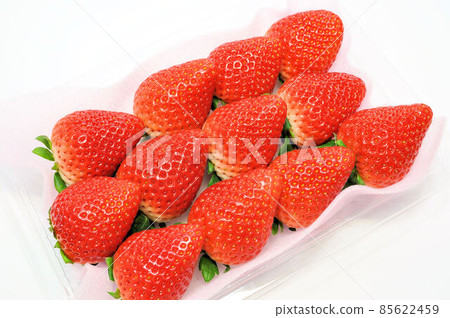 Tochiaika Tochiaika 85622459