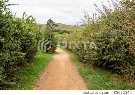 New Zealand Hobbit Village New Zealand Hobbit Village 85622543