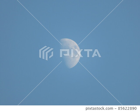 半月 85622890
