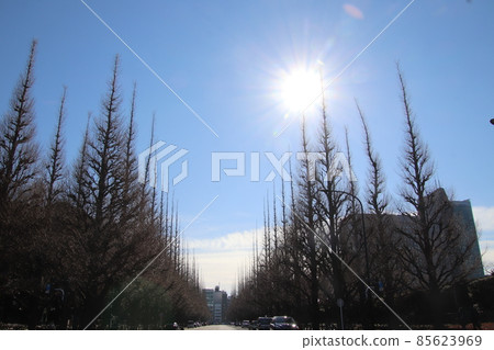 靜靜等待春天的到來 靜靜等待春天的到來 85623969