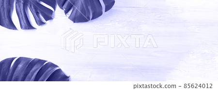 Banner of three tropical leaves of monstera on a background of woody texture. Flat lay, top view Banner of three tropical leaves of monstera on a background of woody texture. Flat lay, top view 85624012