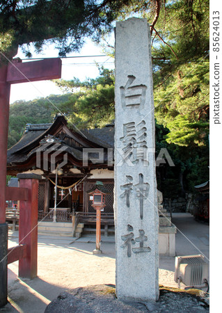 琵琶湖白樺神社 琵琶湖白樺神社 85624013