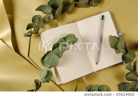 Open notebook with pencil among eucalyptus branches. Open notebook with pencil among eucalyptus branches. 85624602
