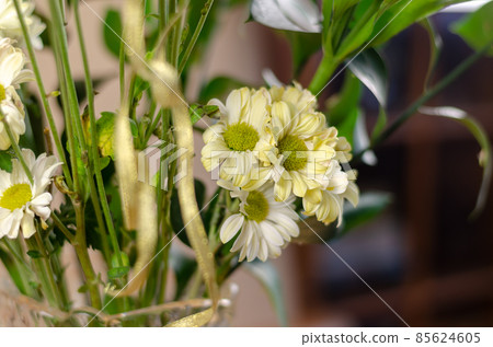 Bouquet of white and green daisies. Delicate flowers close-up. 85624605