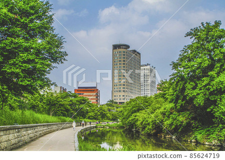 Cheonggyecheon trail scenery 85624719