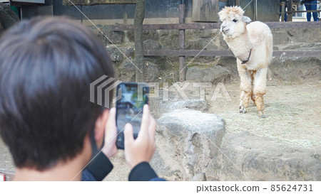 Children taking pictures with smartphones <02> Mishima Rakujuen, Mishima City, Shizuoka Prefecture Children taking pictures with smartphones <02> Mishima Rakujuen, Mishima City, Shizuoka Prefecture 85624731