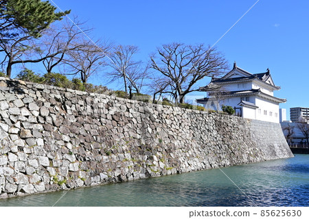Sunpu Castle Park's Tatsumi Tower and Ishigaki 85625630