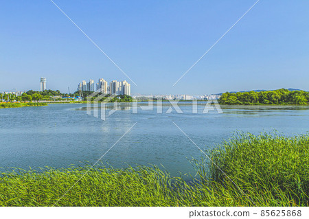 The scenery of Wangsong Lake Park 85625868