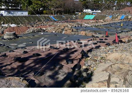 State of Sunpu Castle castle tower during excavation State of Sunpu Castle castle tower during excavation 85626168