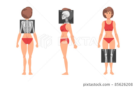 Young Woman Standing in Red Underwear with Her Skeleton X-ray Vector Set 85626208