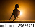 Black silhouette of a galloping Haflinger horse with a orange background 85626321