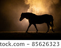 Black silhouette of a trotting Haflinger horse with a orange background 85626323