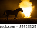 Black silhouette of a trotting horse with a orange background 85626325