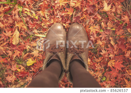 Autumn at your feet Autumn at your feet 85626537