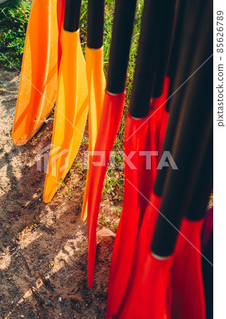 Set of colorfur paddles of kayak and canoe sport, many plastic paddles. Rent of equipment for swimming in the ocean or sea, summer time Set of colorfur paddles of kayak and canoe sport, many plastic paddles. Rent of equipment for swimming in the ocean or sea, summer time 85626789