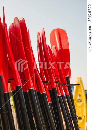 Set of colorfur paddles of kayak and canoe sport, many plastic paddles. Rent of equipment for swimming in the ocean or sea, summer time 85626790