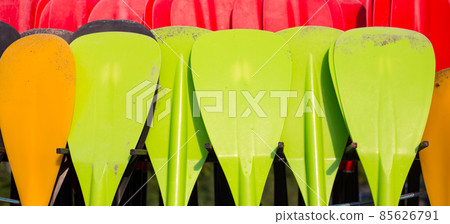 Set of colorfur paddles of kayak and canoe sport, many plastic paddles. Rent of equipment for swimming in the ocean or sea, summer time 85626791