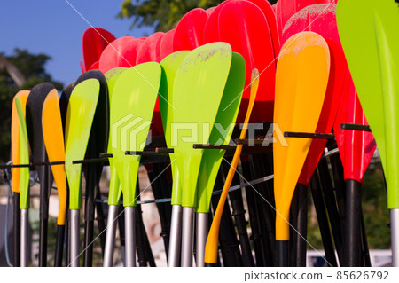 Set of colorfur paddles of kayak and canoe sport, many plastic paddles. Rent of equipment for swimming in the ocean or sea, summer time 85626792