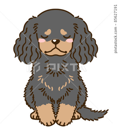 沮喪的美國可卡犬（黑色和棕褐色） 85627191