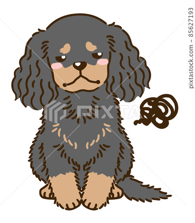 不滿意的美國可卡犬（黑色和棕褐色） 85627193