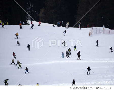 many skiers skiing in dolomites gardena valley snow mountains many skiers skiing in dolomites gardena valley snow mountains 85628225