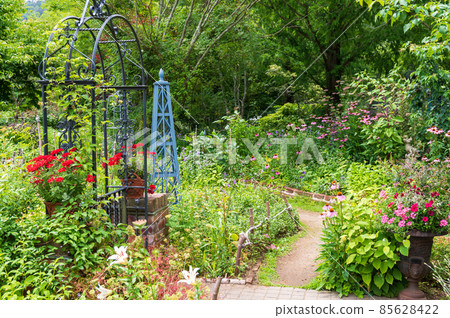  英國花園 85628422