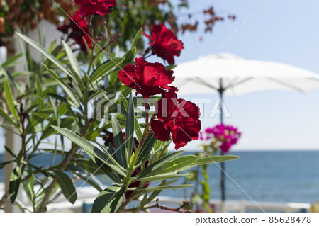 Splashing waves on the beach - Bulgarian seaside landscapes Splashing waves on the beach - Bulgarian seaside landscapes 85628478