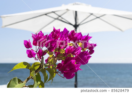 Splashing waves on the beach - Bulgarian seaside landscapes Splashing waves on the beach - Bulgarian seaside landscapes 85628479