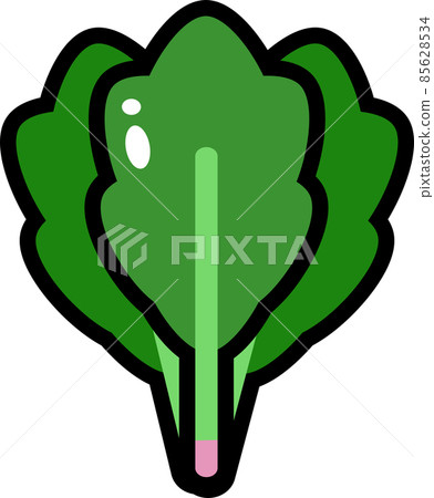 Spinach with main line 85628534