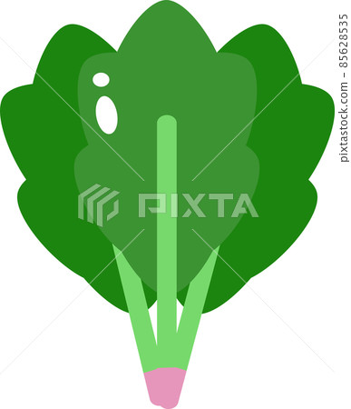 Spinach without main line 85628535