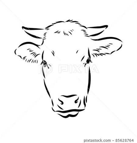 Isolated cow eating grass on a white background. Black and white sketch line silhouette vector illustration. 85628764