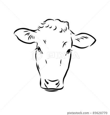 Isolated cow eating grass on a white background. Black and white sketch line silhouette vector illustration. 85628770