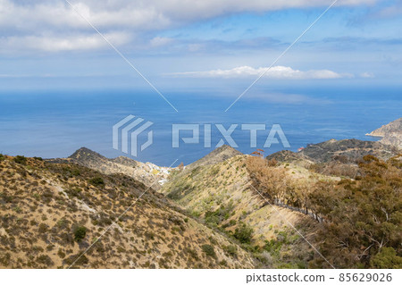 Mountain landscape of Catalina Island 85629026