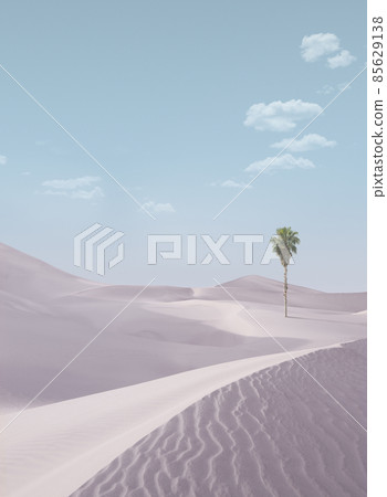 dunes and palms 85629138