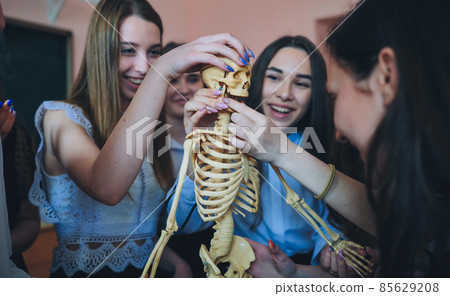 Cheerful students examine the human skeleton in the classroom. 85629208